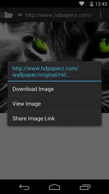 Video Downloader android App screenshot 3