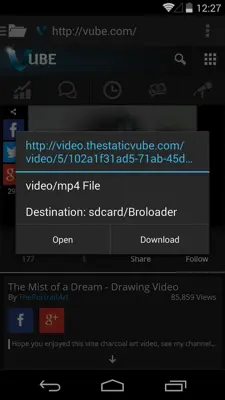 Video Downloader android App screenshot 5